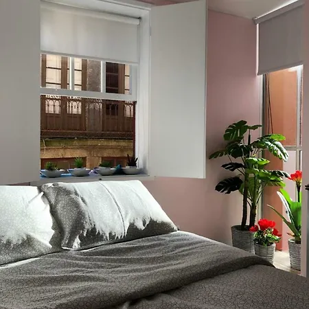 Apartment Apartamento Flor Do *